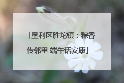 垦利区胜坨镇：粽香传邻里 端午话安康